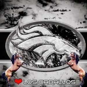 Meet your Posher, Gilberto